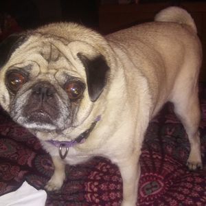 Meet your Posher, Christine